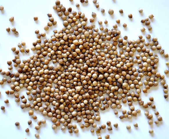 Coriander Seed